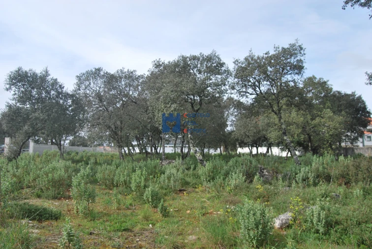 Terreno para Venda em Fatima Foto 3