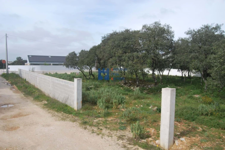 Terreno para Venda em Fatima Foto 1