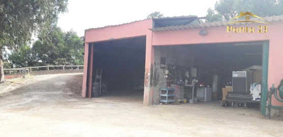 Terreno para Venda em Santa Cruz