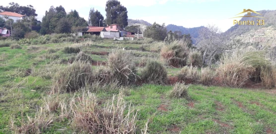 Terreno para Venda em Santa Cruz