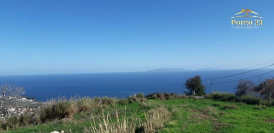 Terreno para Venda em Santa Cruz