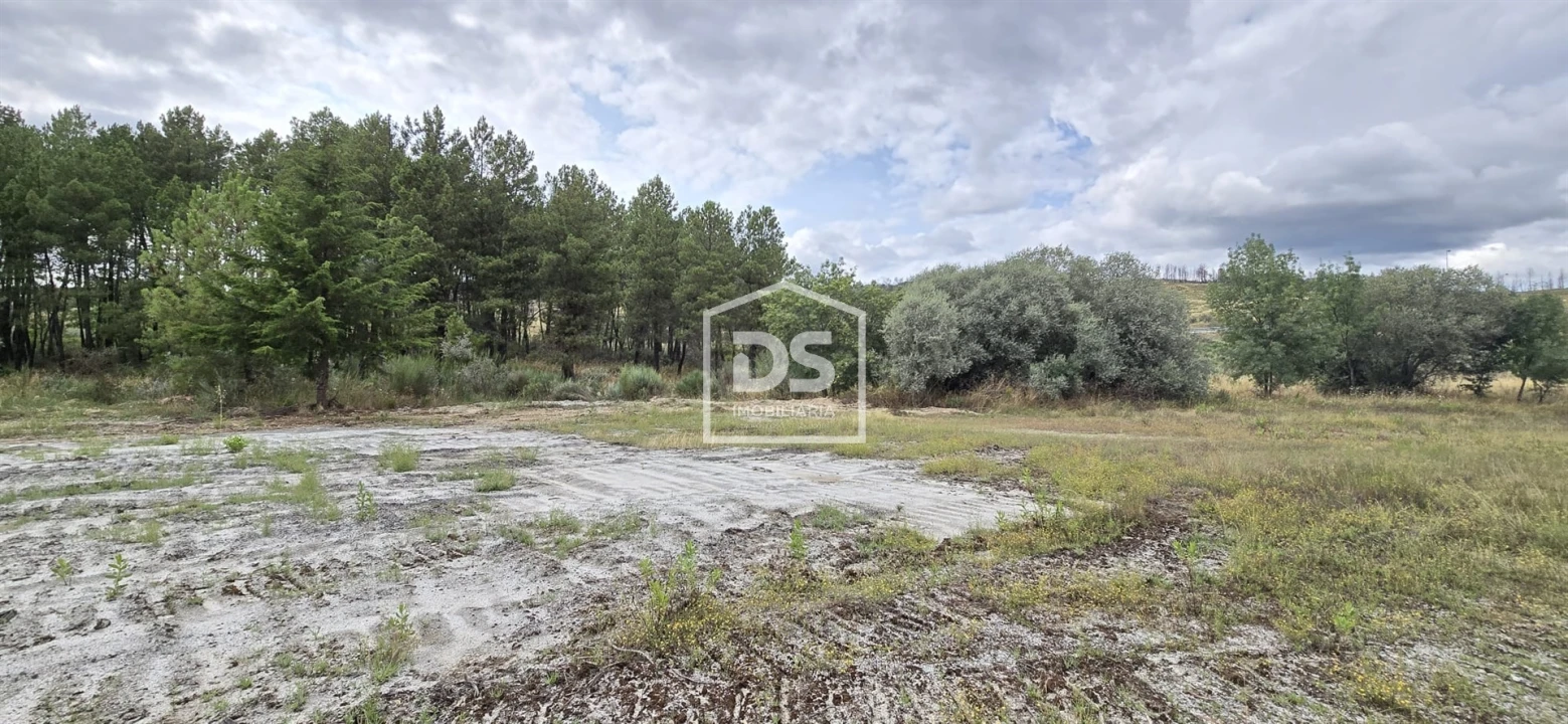Terreno Agricola ou Rústico para Venda em Maçainhas Foto 19