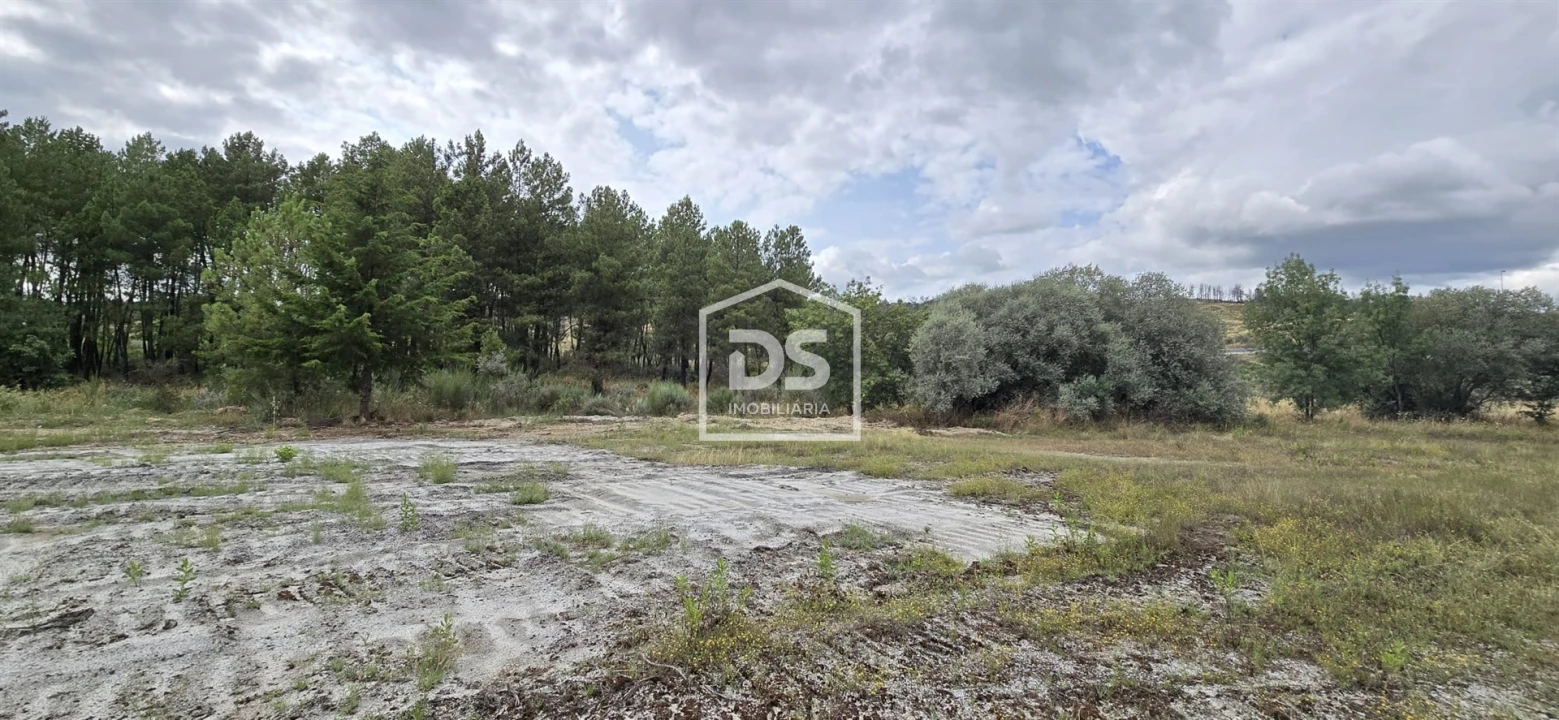 Terreno Agricola ou Rústico para Venda em Maçainhas Foto 18