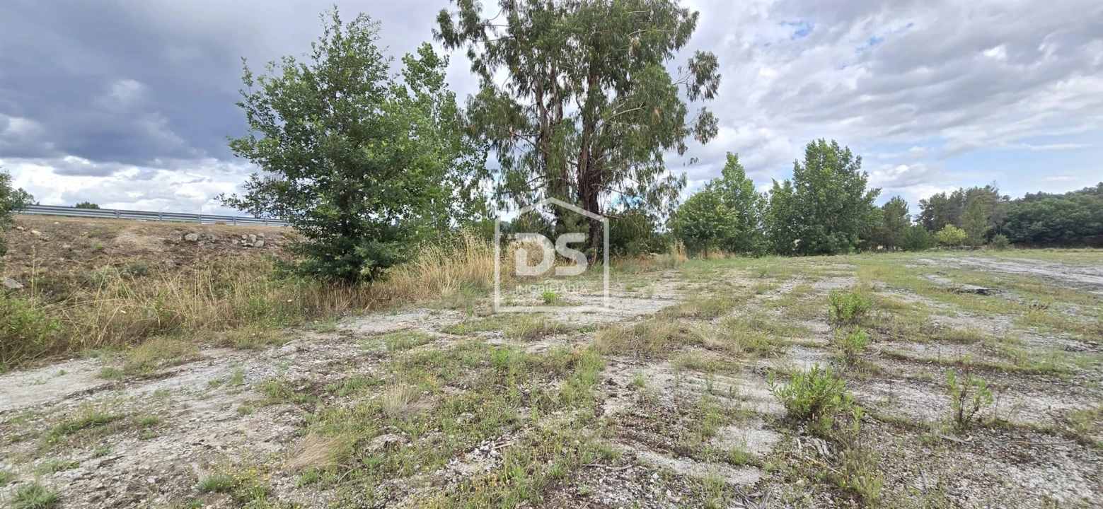 Terreno Agricola ou Rústico para Venda em Maçainhas Foto 20