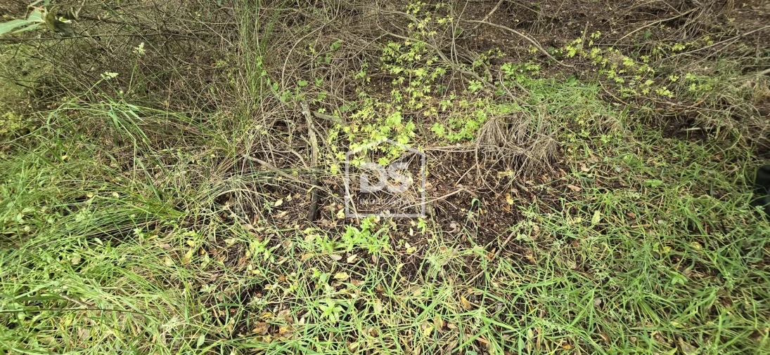 Terreno Agricola ou Rústico para Venda em Maçainhas Foto 9
