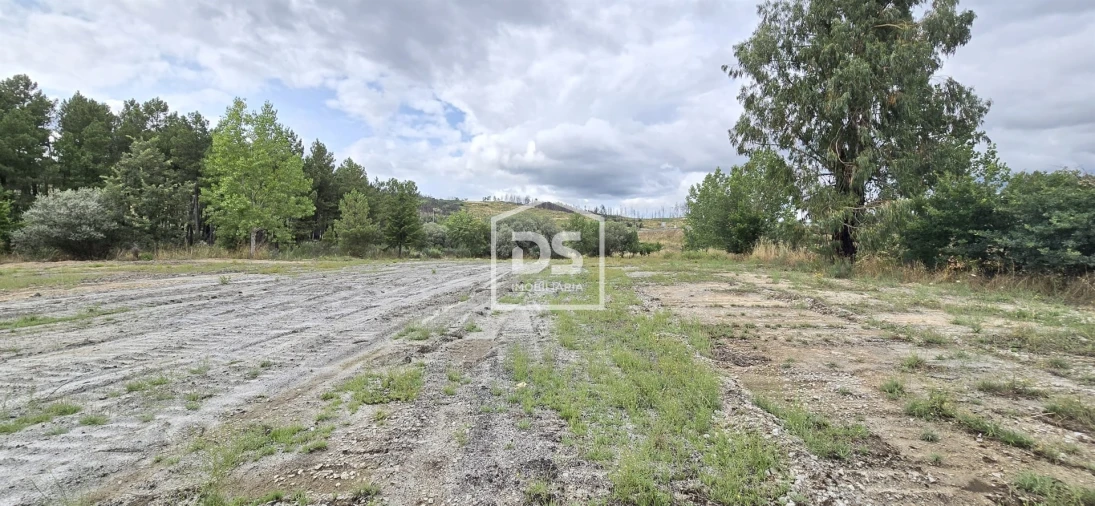 Terreno Agricola ou Rústico para Venda em Maçainhas Foto 15