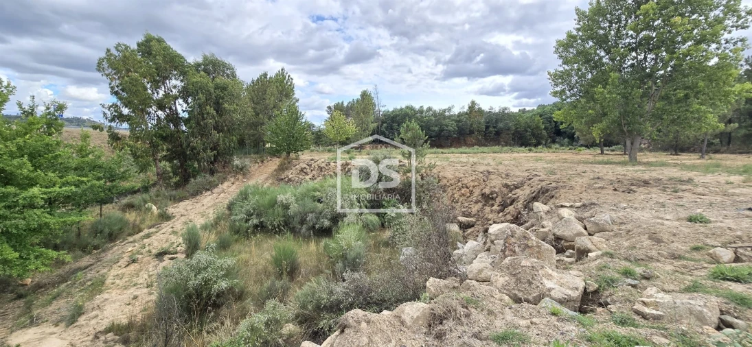 Terreno Agricola ou Rústico para Venda em Maçainhas Foto 14