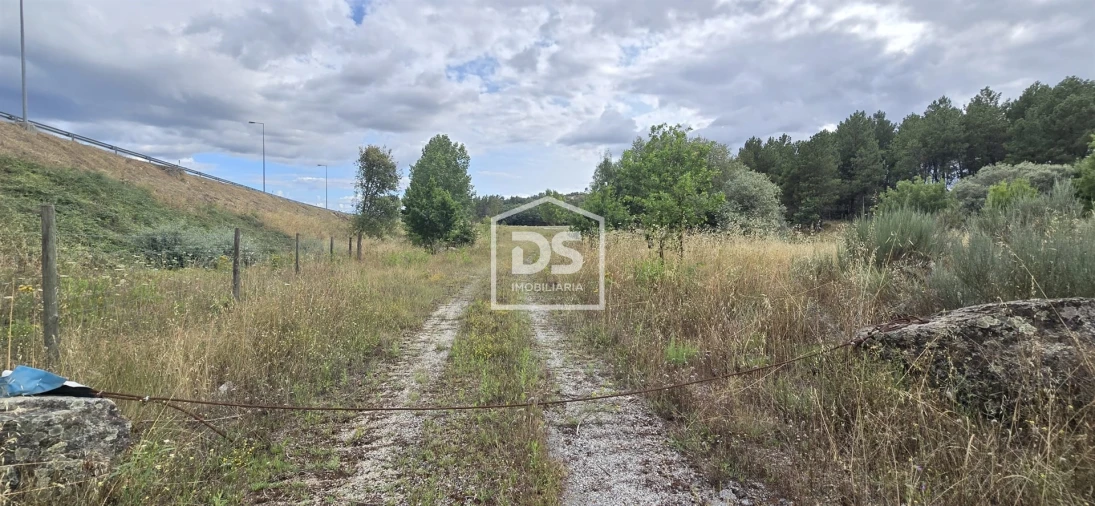 Terreno Agricola ou Rústico para Venda em Maçainhas Foto 10