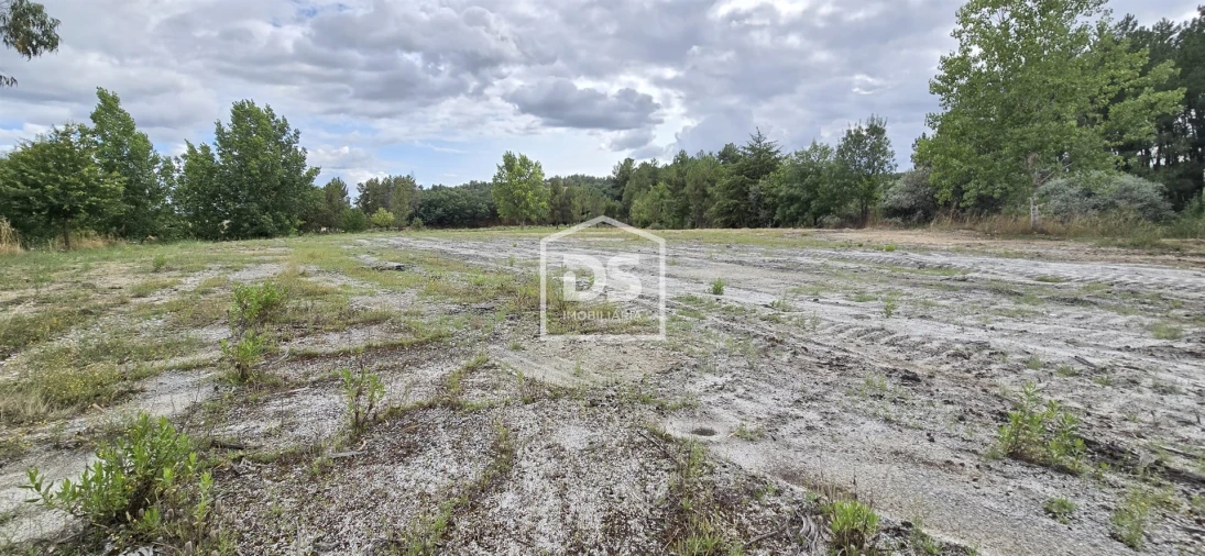 Terreno Agricola ou Rústico para Venda em Maçainhas Foto 17