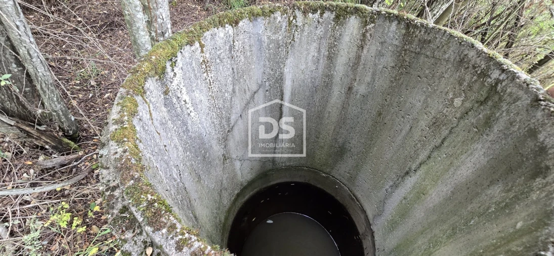 Terreno Agricola ou Rústico para Venda em Maçainhas Foto 6