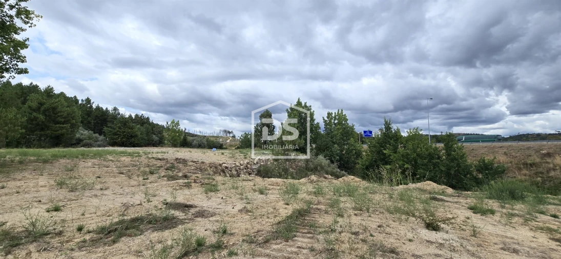 Terreno Agricola ou Rústico para Venda em Maçainhas Foto 11