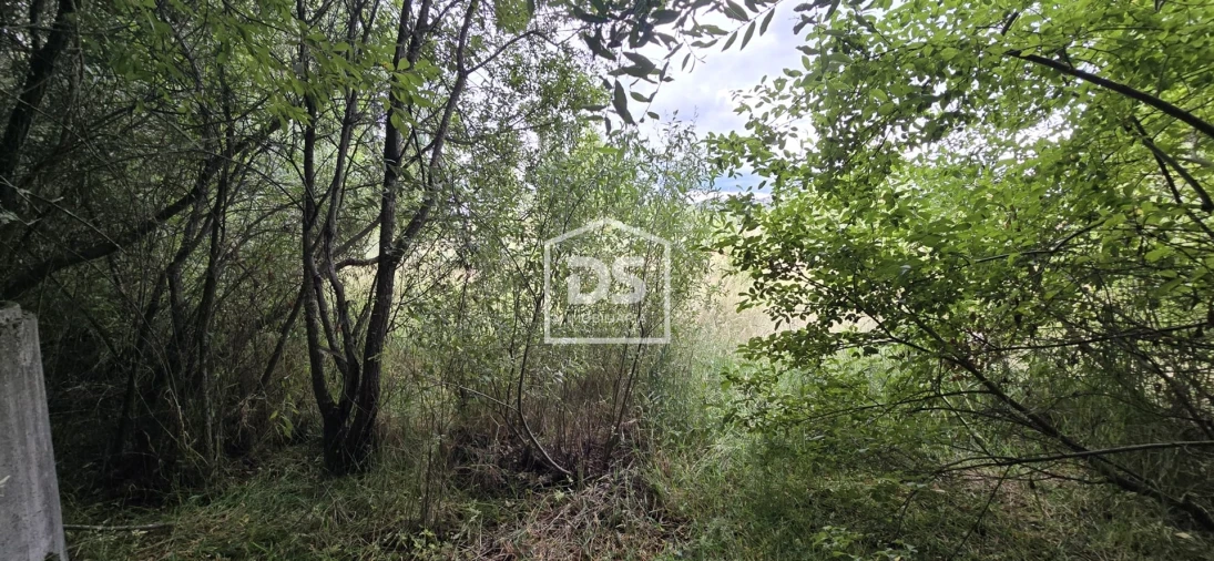 Terreno Agricola ou Rústico para Venda em Maçainhas Foto 7