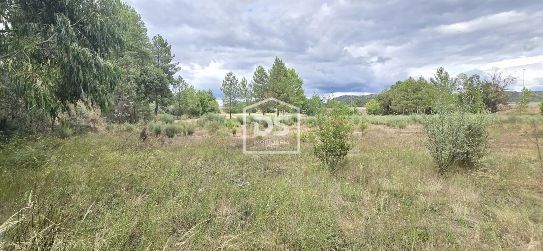 Terreno Agricola ou Rústico para Venda em Maçainhas Foto 5
