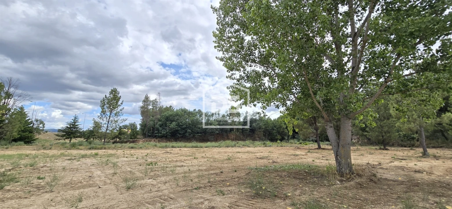 Terreno Agricola ou Rústico para Venda em Maçainhas Foto 12