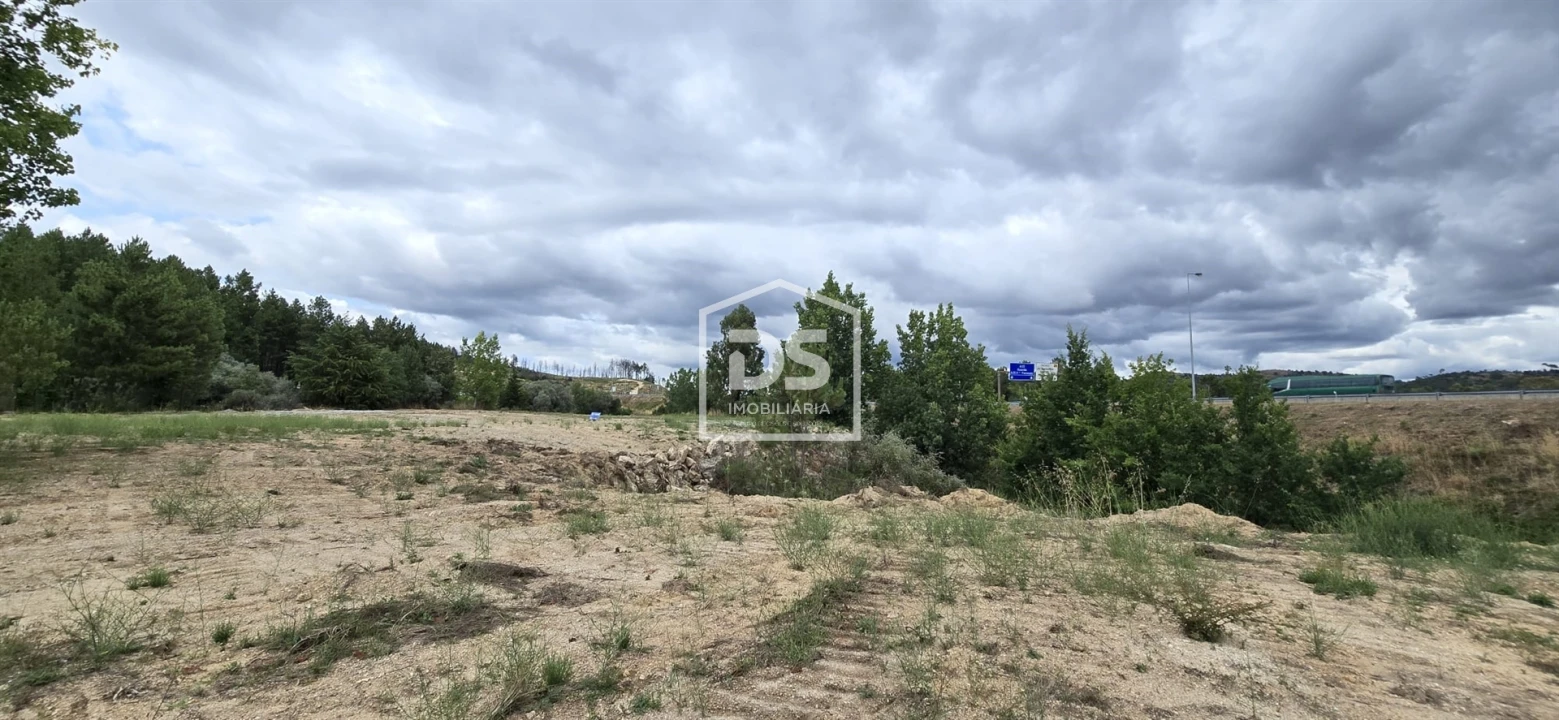 Terreno Agricola ou Rústico para Venda em Maçainhas Foto 11