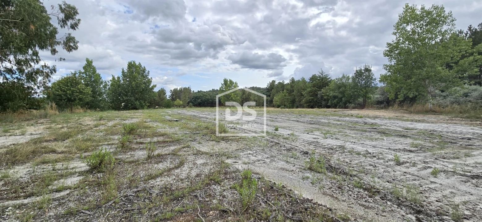 Terreno Agricola ou Rústico para Venda em Maçainhas Foto 21