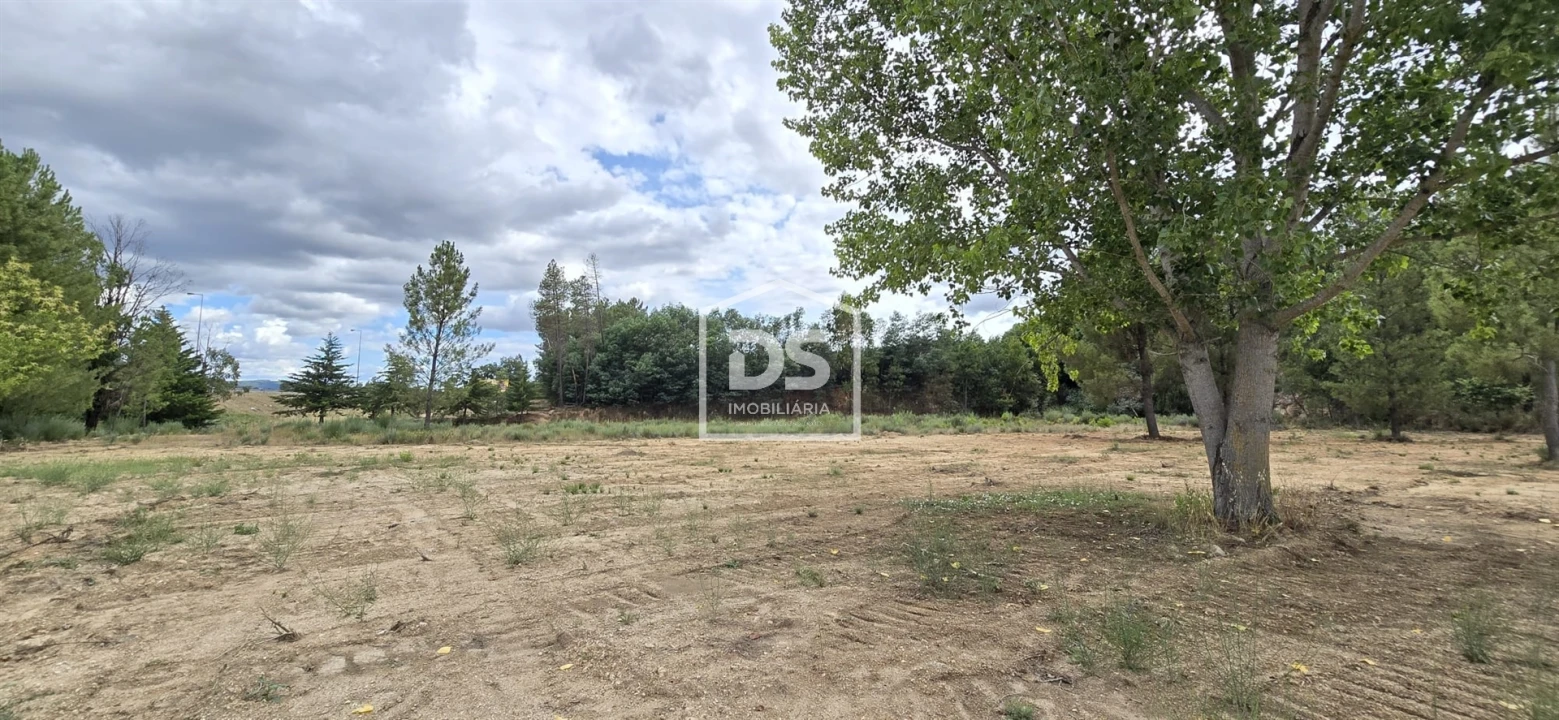 Terreno Agricola ou Rústico para Venda em Maçainhas Foto 13