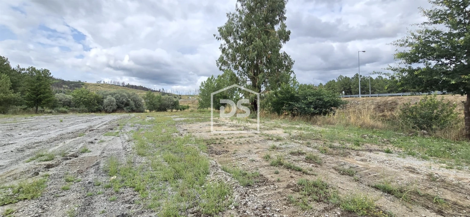Terreno Agricola ou Rústico para Venda em Maçainhas Foto 16