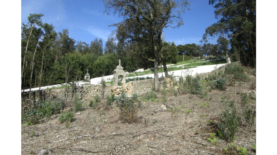 Terreno para Venda em Guilhabreu Foto 2
