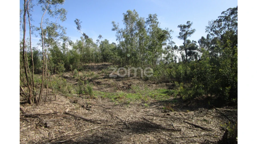 Terreno para Venda em Guilhabreu Foto 5
