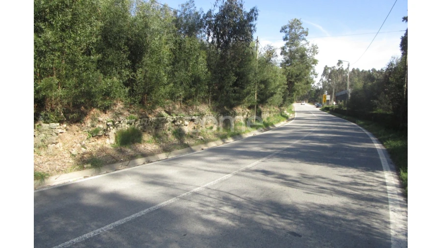 Terreno para Venda em Guilhabreu Foto 7