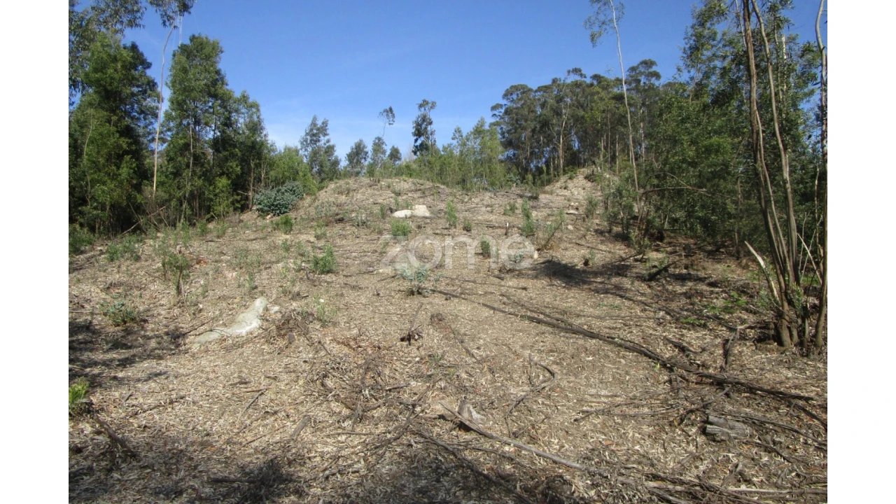 Terreno para Venda em Guilhabreu Foto 4