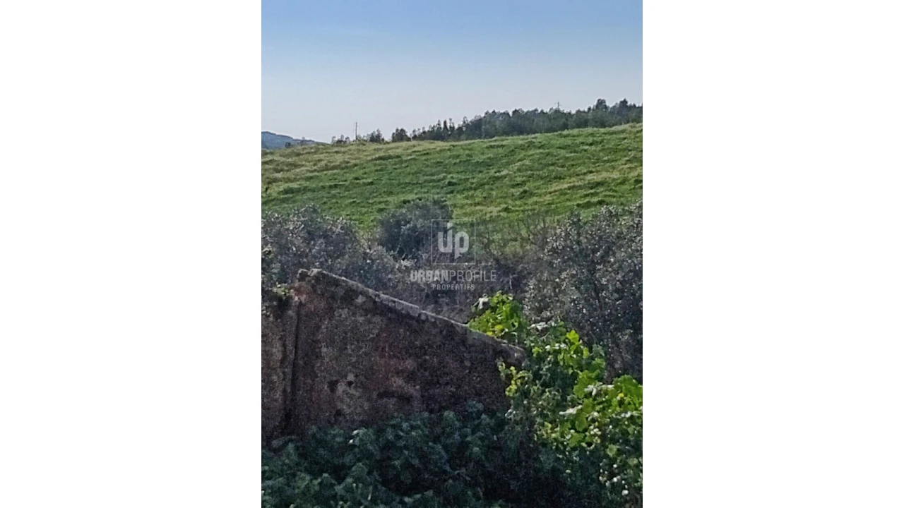 Quinta T7 para Venda em Cercal Foto 4