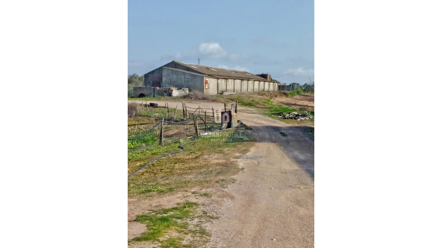 Quinta T7 para Venda em Cercal Foto 1