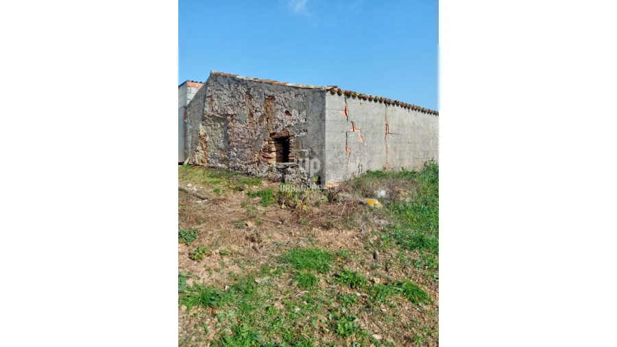 Quinta T7 para Venda em Cercal Foto 3