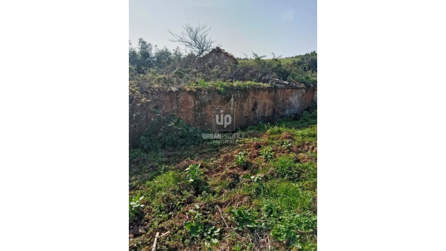 Quinta T7 para Venda em Cercal Foto 5