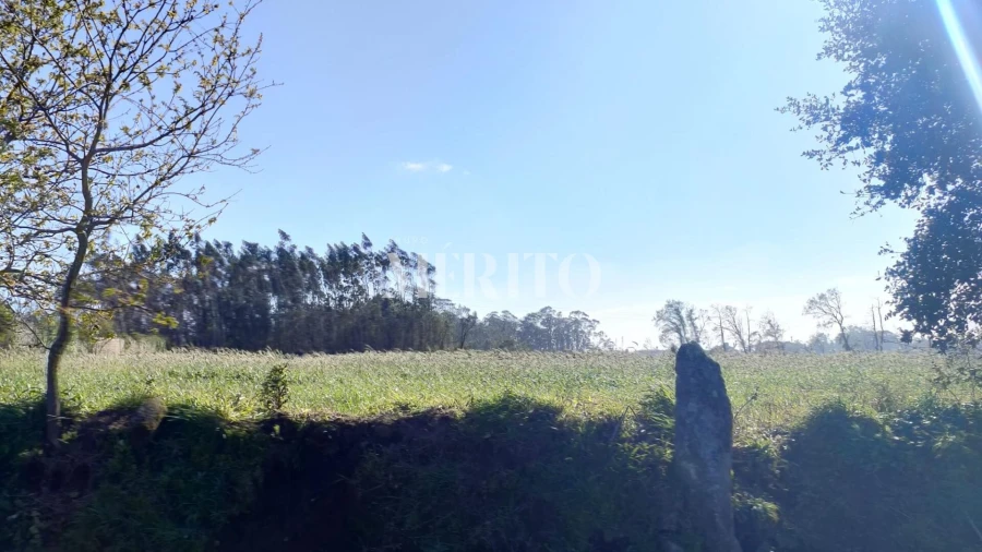 Terreno para Venda em Retorta e Tougues Foto 5