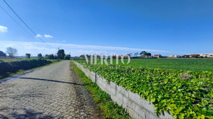 Terreno para Venda em Retorta e Tougues Foto 2