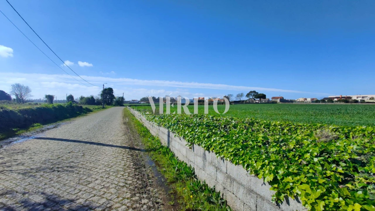 Terreno para Venda em Retorta e Tougues Foto 2