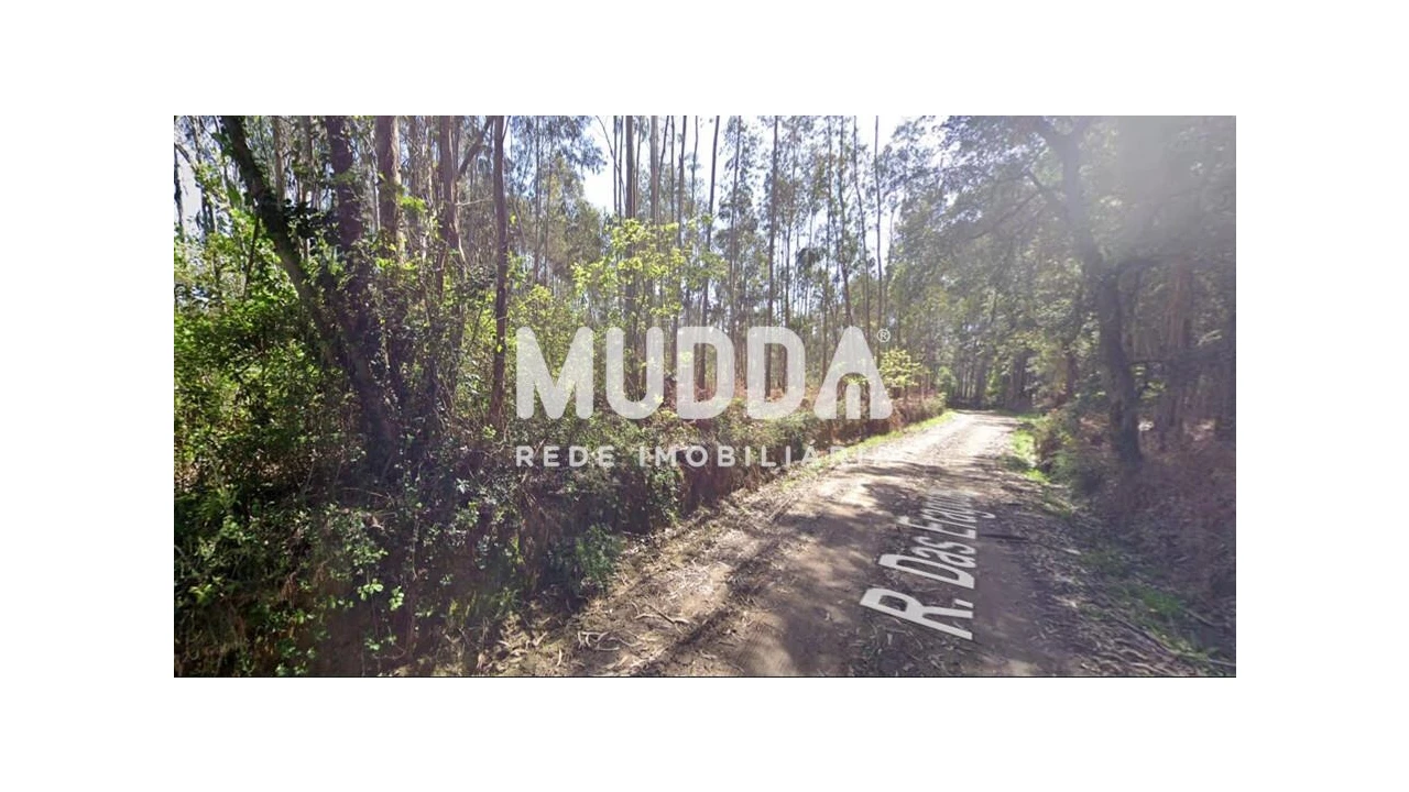 Terreno para Venda em São Martinho da Gandara Foto 3