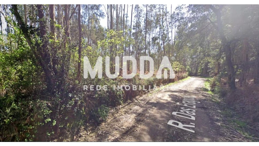 Terreno para Venda em São Martinho da Gandara Foto 3