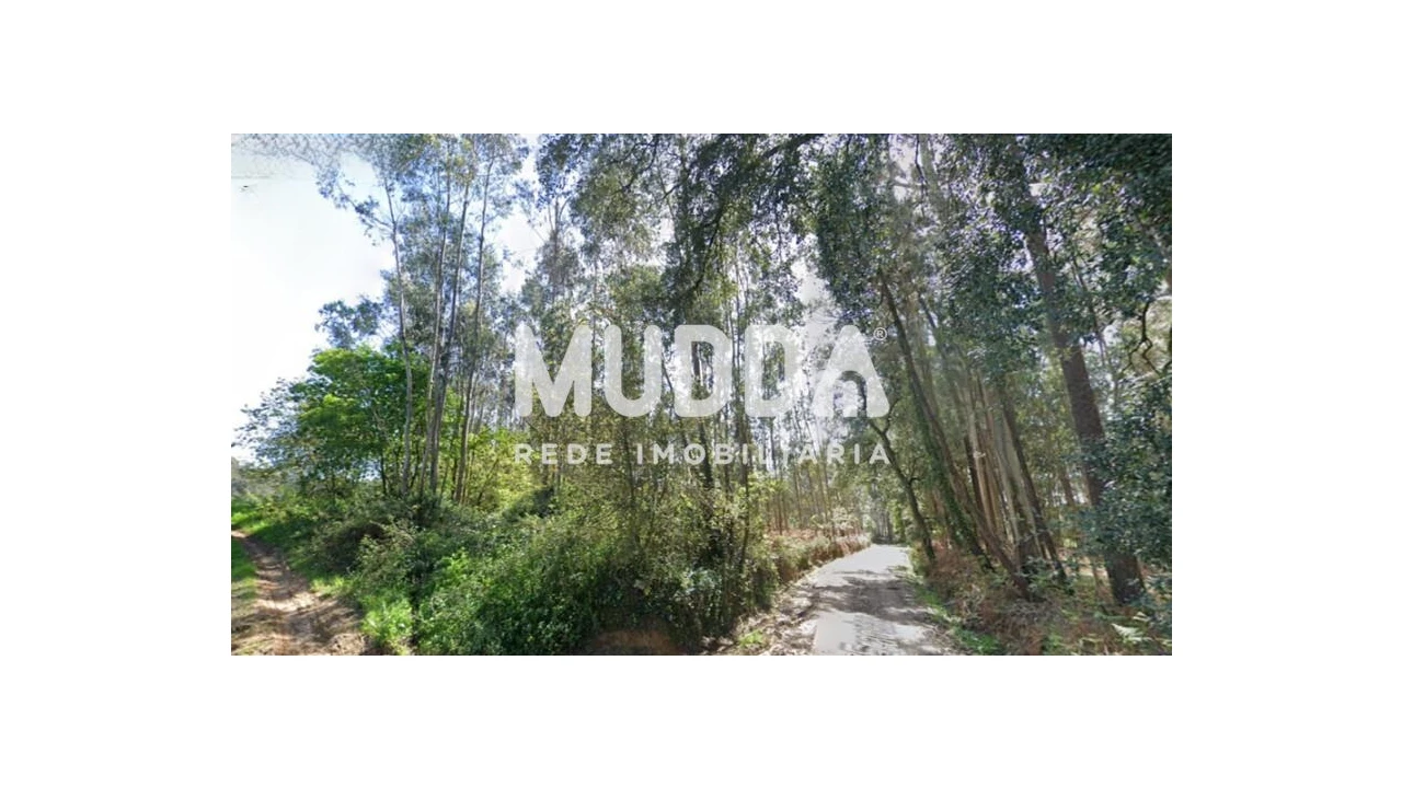 Terreno para Venda em São Martinho da Gandara Foto 1