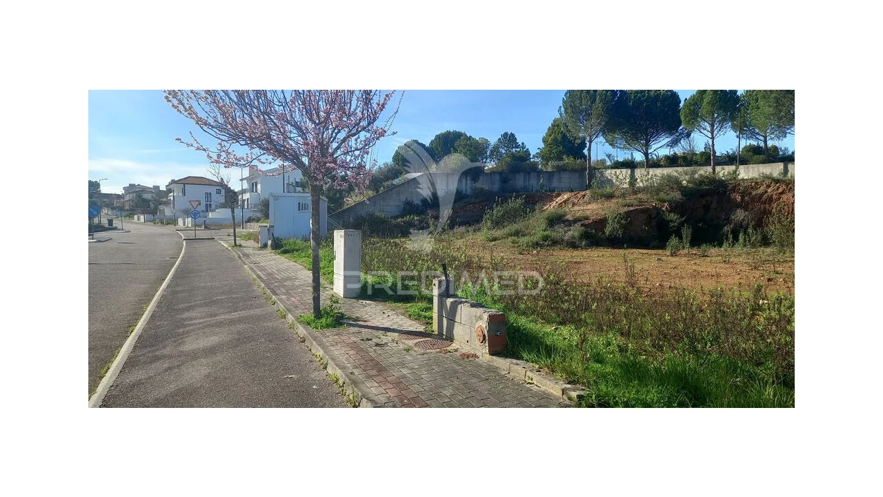 Terreno para Venda em Constancia Foto 4