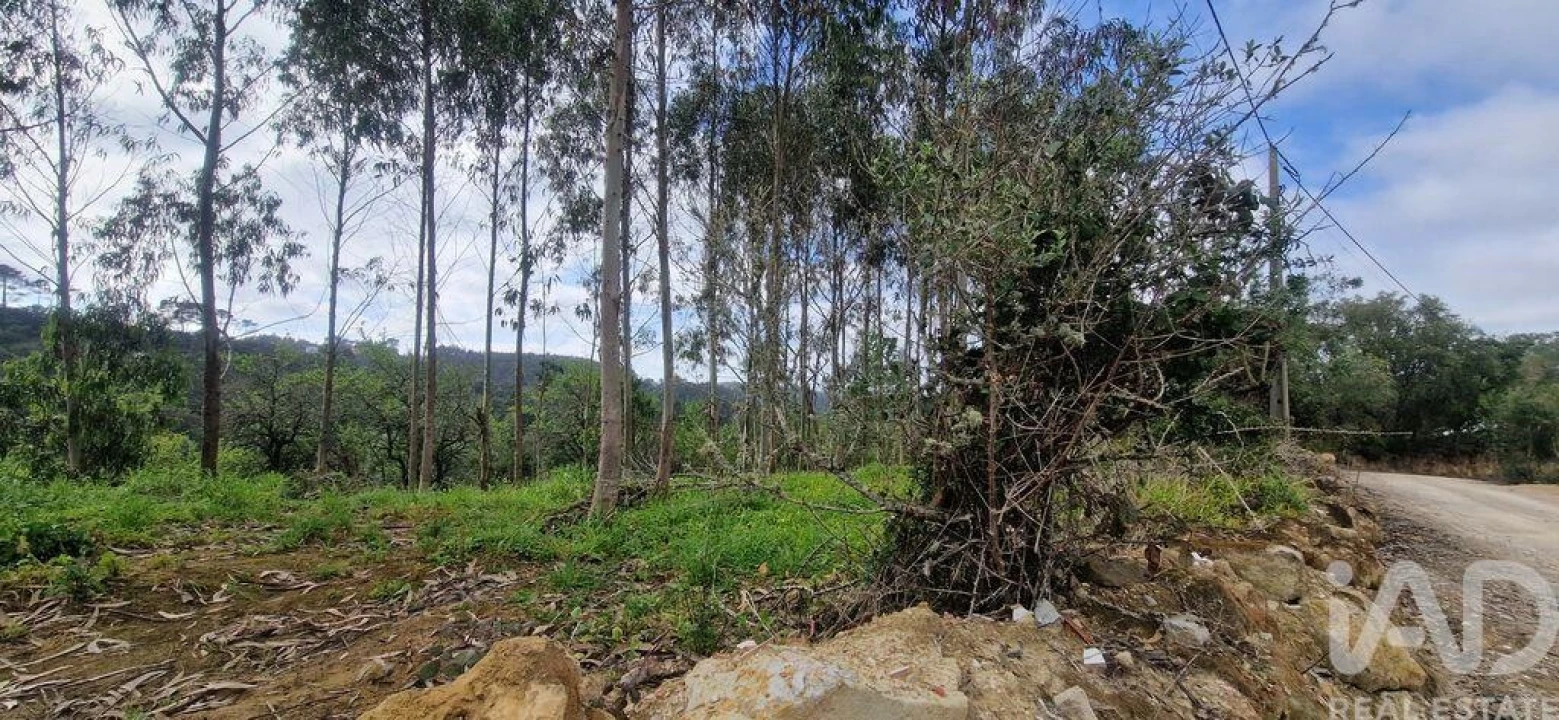 Terreno para Venda em Mafra Foto 19