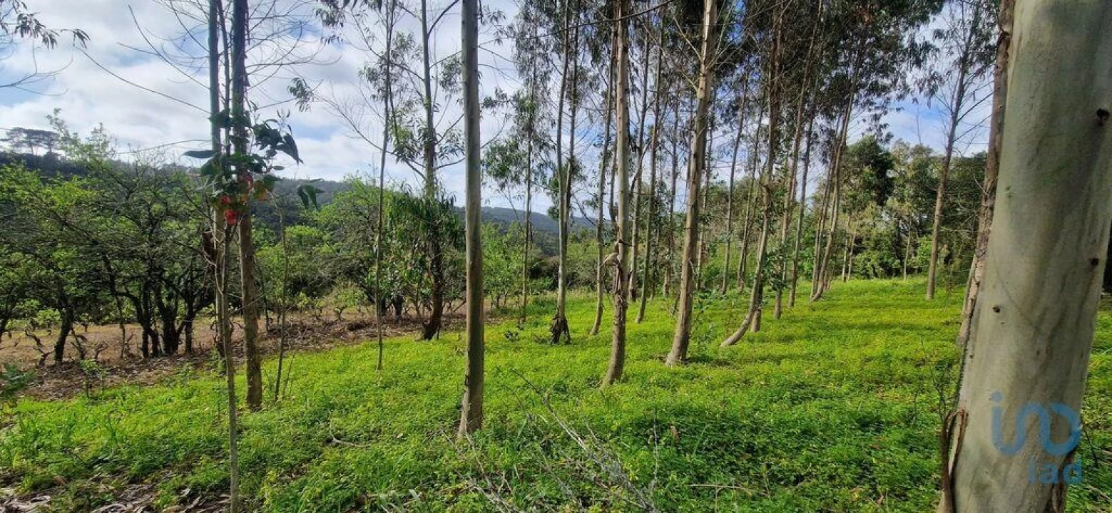 Terreno para Venda em Mafra Foto 6