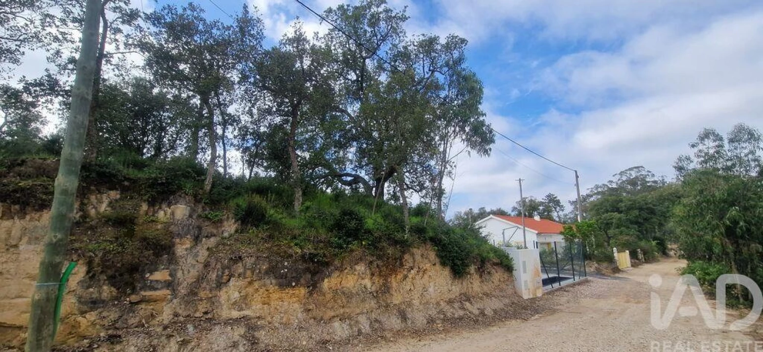 Terreno para Venda em Mafra Foto 20