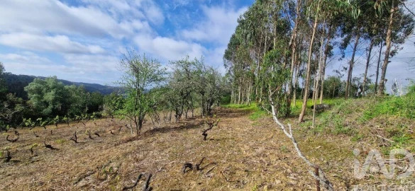 Terreno para Venda em Mafra