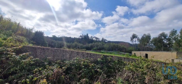 Terreno para Venda em Mafra
