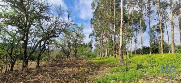 Terreno para Venda em Mafra