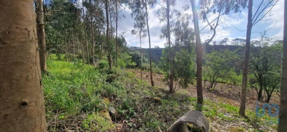 Terreno para Venda em Mafra