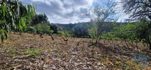 Terreno para Venda em Mafra