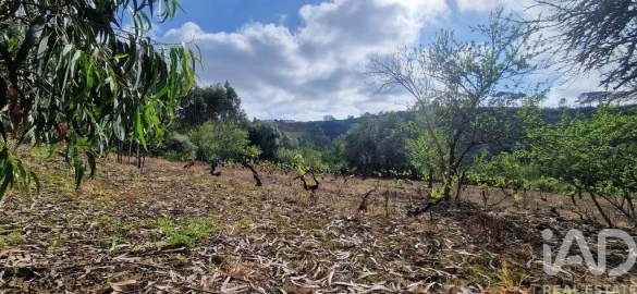 Terreno para Venda em Mafra