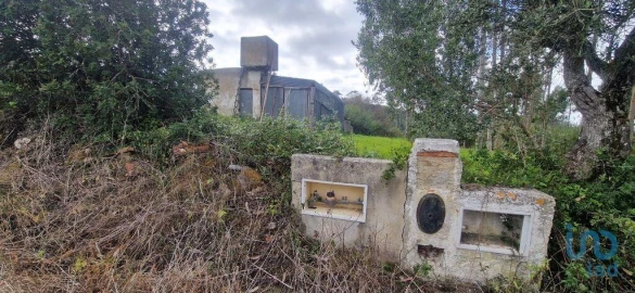 Terreno para Venda em Mafra