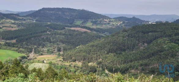 Terreno para Venda em Mafra