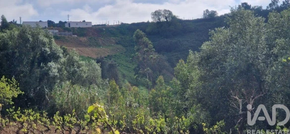Terreno para Venda em Mafra