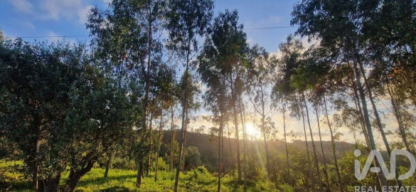Terreno para Venda em Mafra